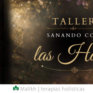 Taller Sanando con las Hadas