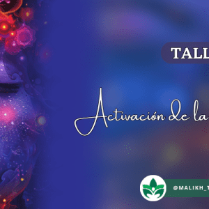 Taller de Activación de la Glándula Pineal