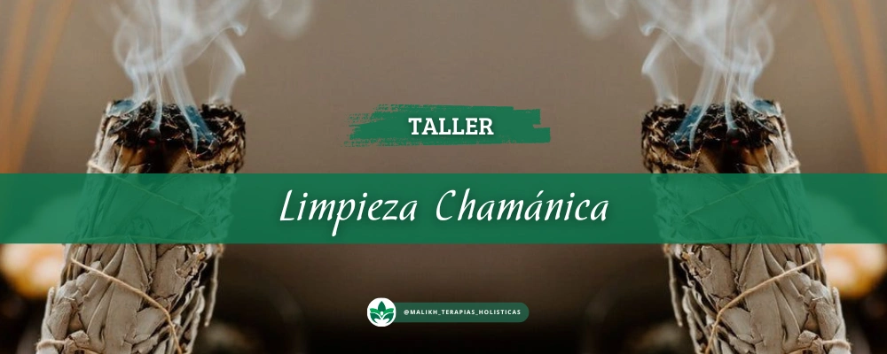 TALLER LIMPIEZA CHAMANICA TALLER LIMPIEZA CHAMANICA