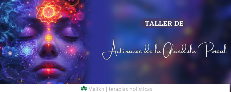 Taller de Activación de la Glándula Pineal