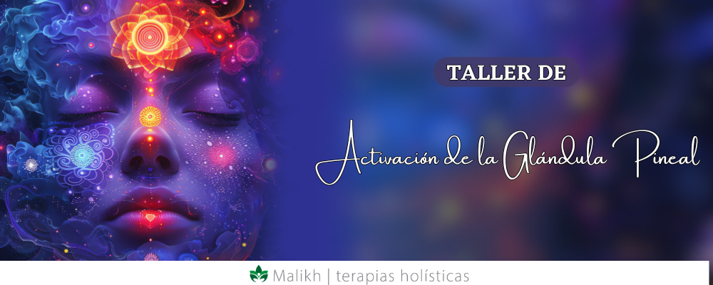 Taller de Activación de la Glándula Pineal