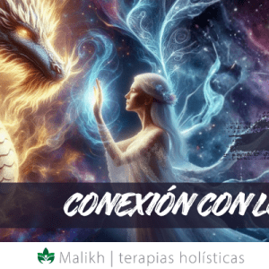 CURSO DE CONEXIÓN CON LOS DRAGONES