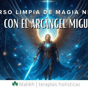Aracangel Miguel