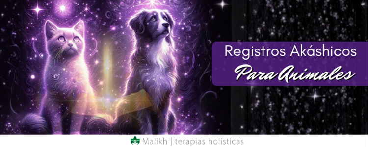 Registros Akáshicos para Animales