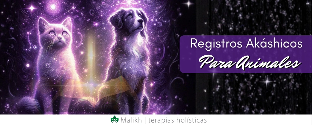 Registros Akáshicos para Animales