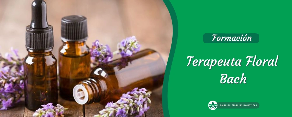 Terapeuta Floral Bach Terapeuta Floral Bach