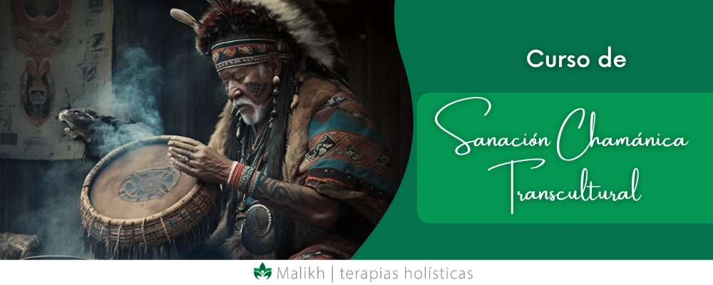web sanacion chamanica