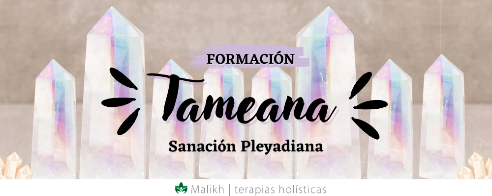 WEB TAMEANA