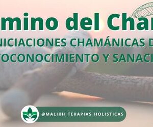 El Camino del Chaman 1