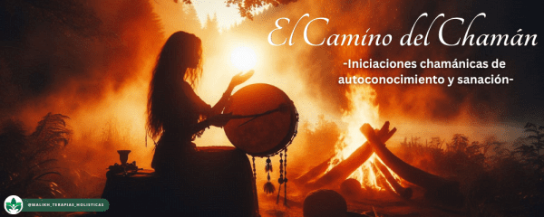 El Camino del Chaman