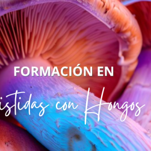 Terapia Asistida Con Hongos - Psicodelicos
