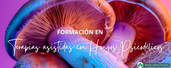 Terapia Asistida Con Hongos - Psicodelicos