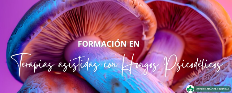 Formación en Terapia Asistida con Hongos Psicodélicos