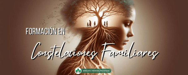 Constelaciones Familiares