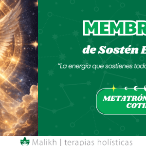 Membresía “Metatrón en tu Vida Cotidiana” (1er cuota)
